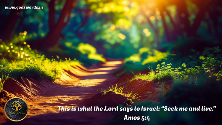 seek me