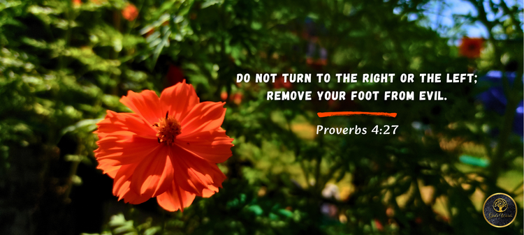 Proverbs 4 verse 27 Proverbs 4 verse 27